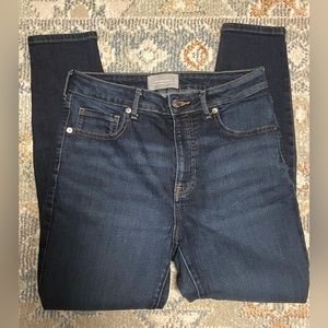 Everlane Curvy High Rise Skinny Jean, Sz 30”